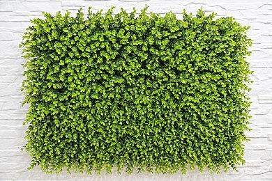 《潜行者2》全新截图公布 画面效果非常出色